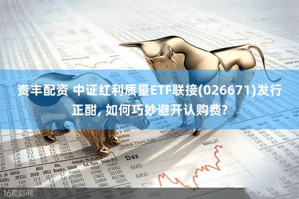 责丰配资 中证红利质量ETF联接(026671)发行正酣, 如何巧妙避开认购费?
